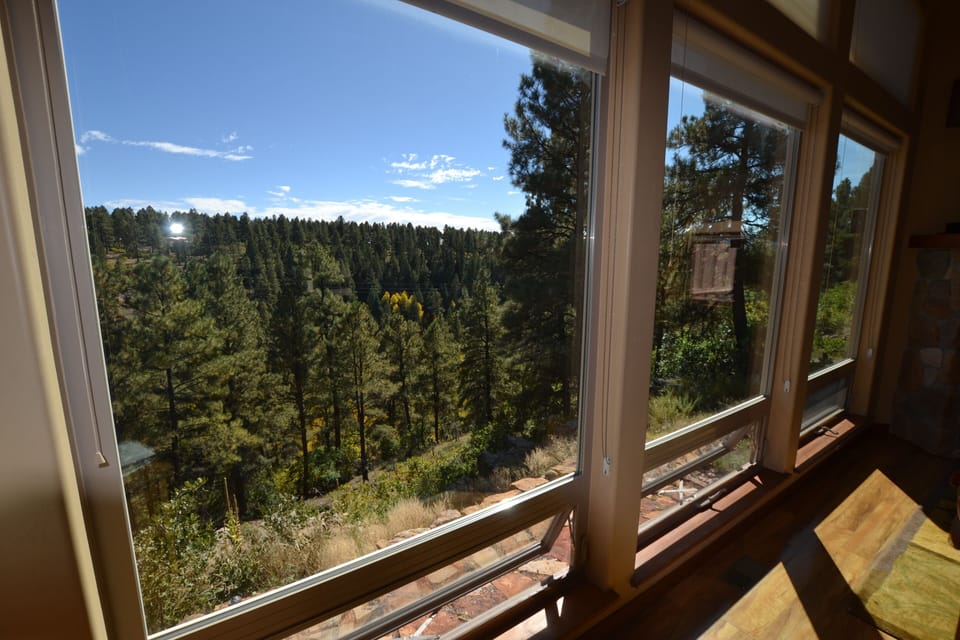 Main Room View