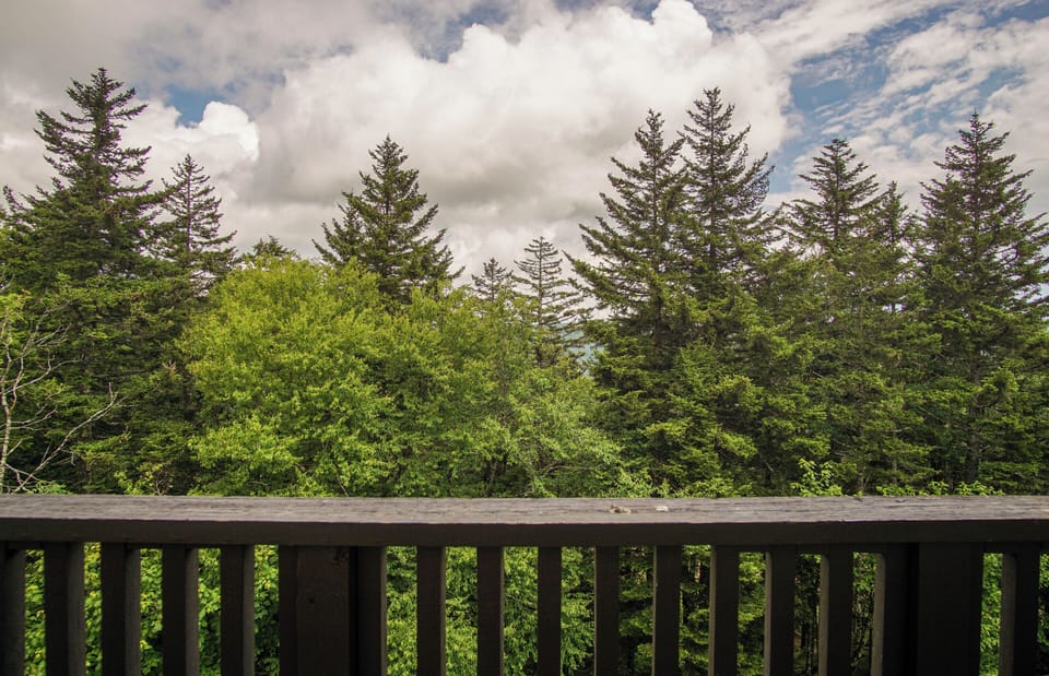 This is a view from the balcony.