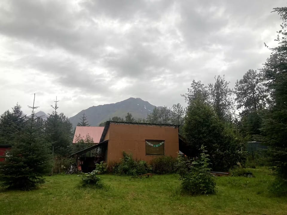Shed and chicken coop on the property too, with Mount Benson in background. 