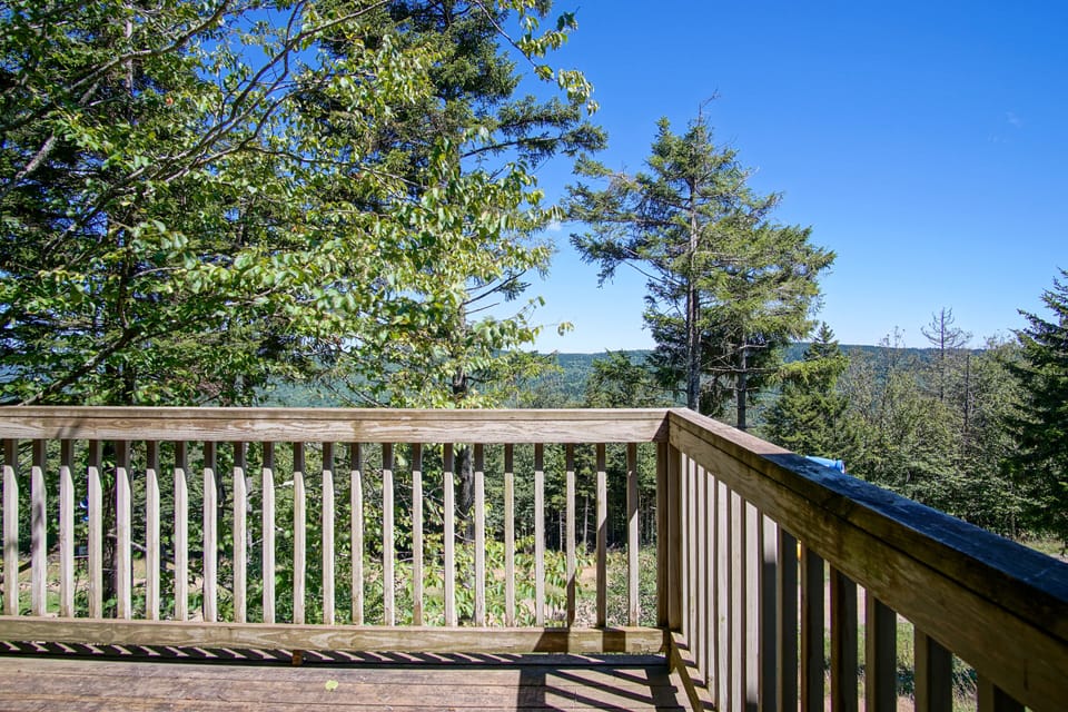 This balcony is located off from the living room.