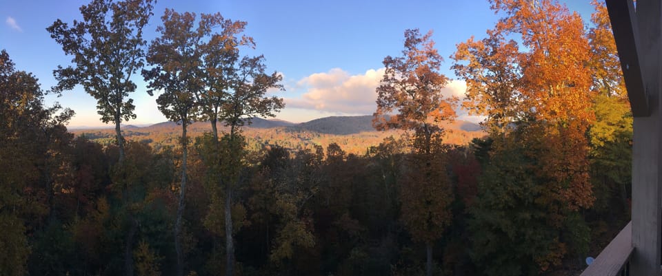 View from property