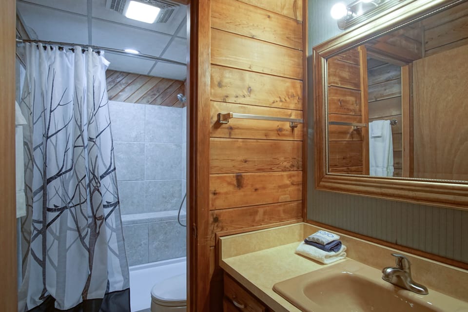 Bathroom off the bedroom upstairs