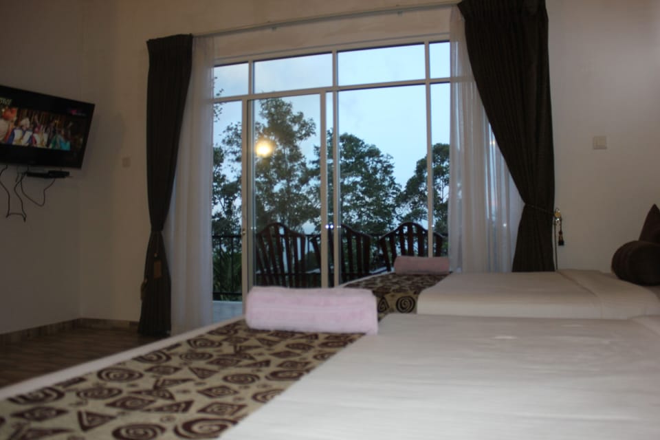 Deluxe Room, 2 Double Beds | View from room
