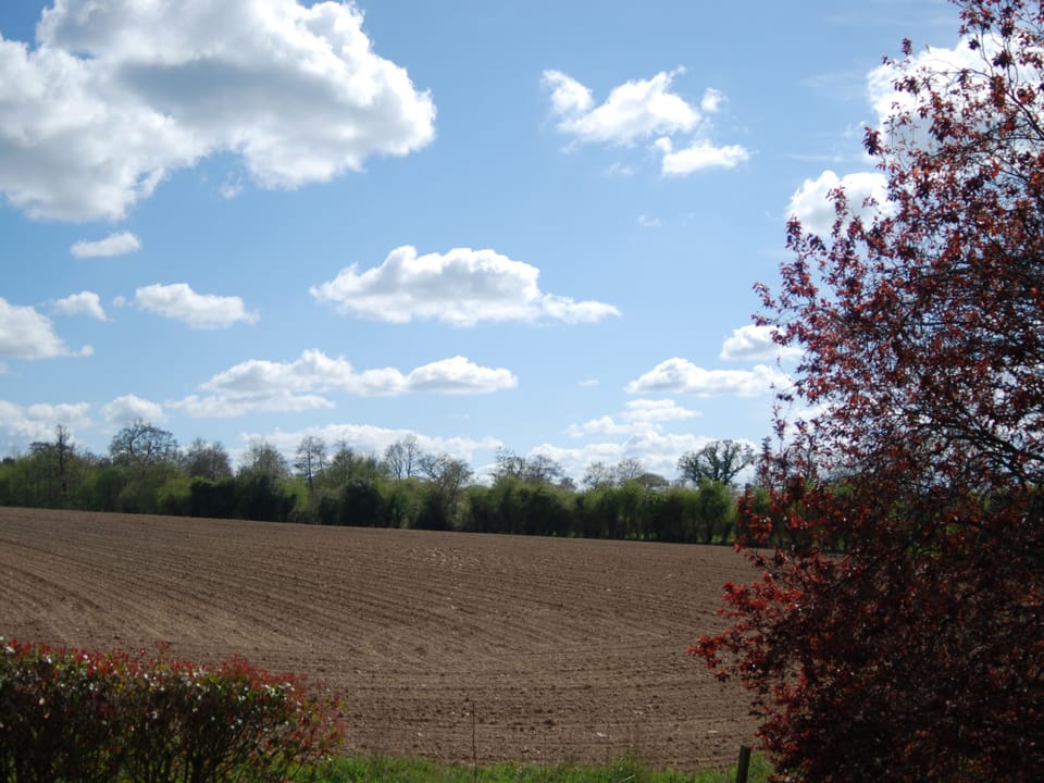 Comfort Double Room | Exterior