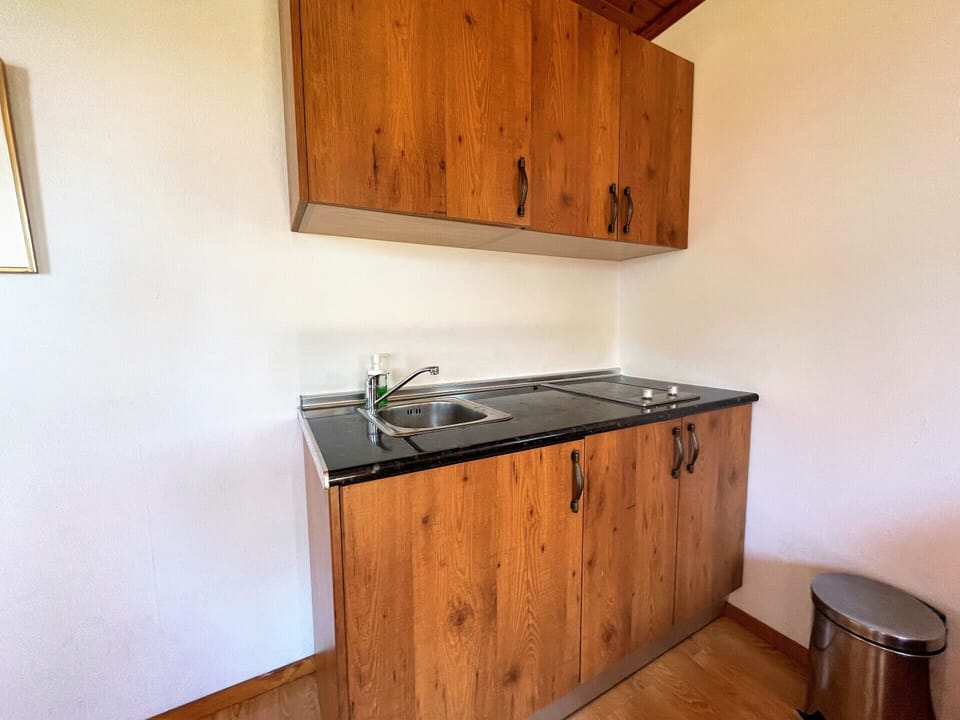Deluxe Cabin, Private Bathroom, Courtyard View (Casita 1) | Private kitchen