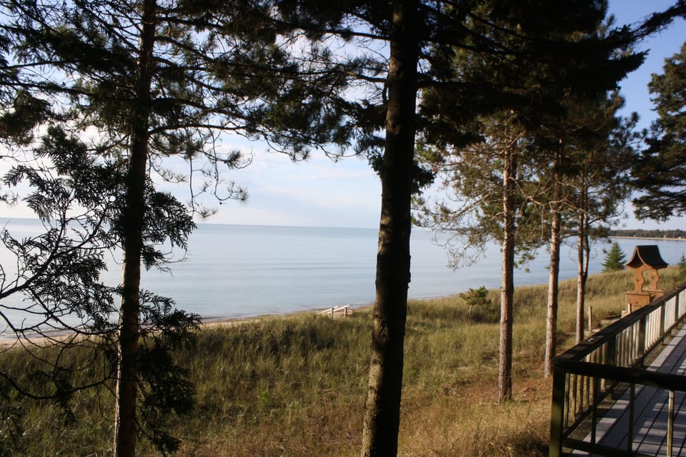 View of Lily Bay.