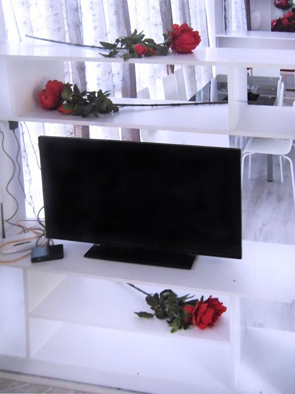 Television