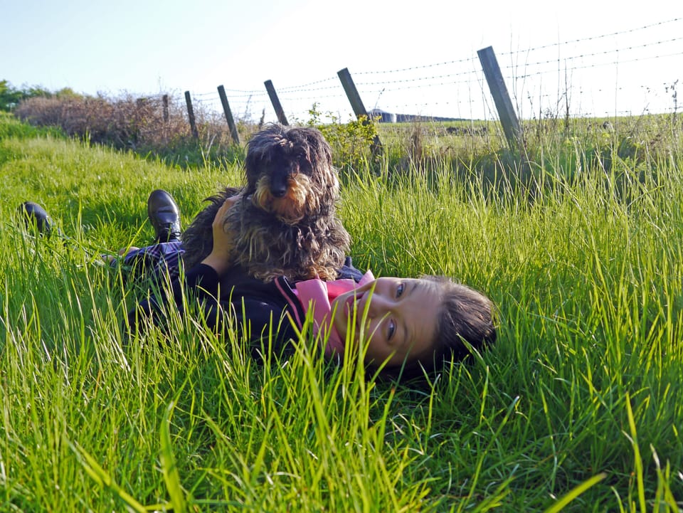 Pig Run Barn 4 Star Gold sleeping upto 4 Dogs welcome. surrounded by countryside