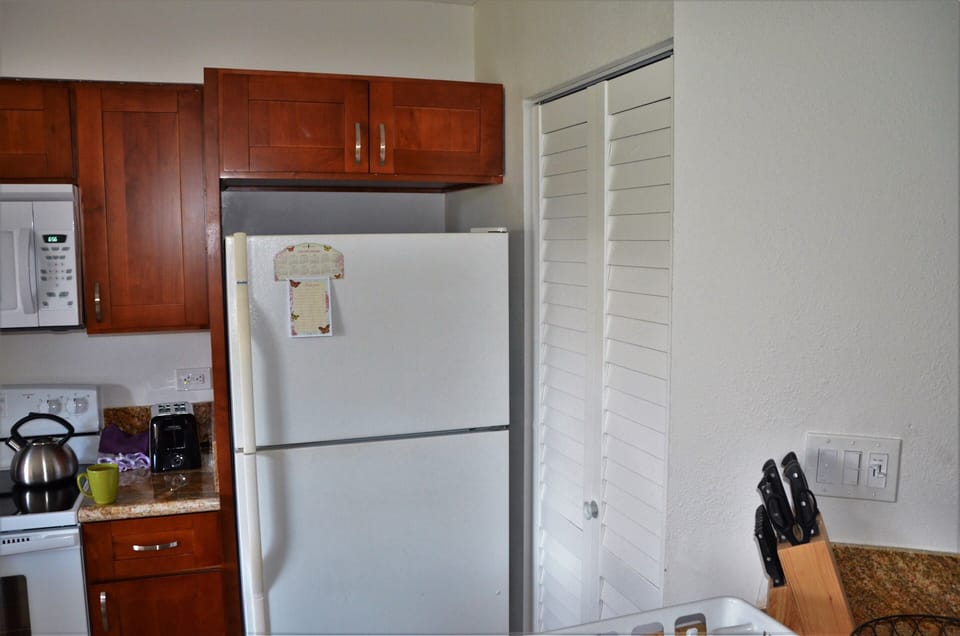 Washer, dryer in kitchen closet