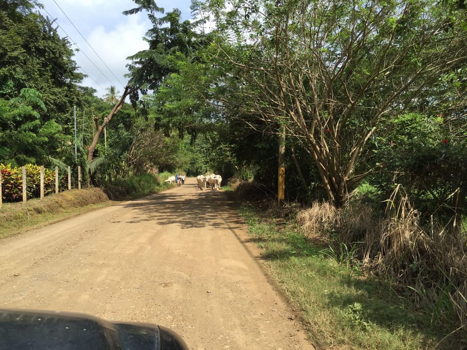 sharing the road