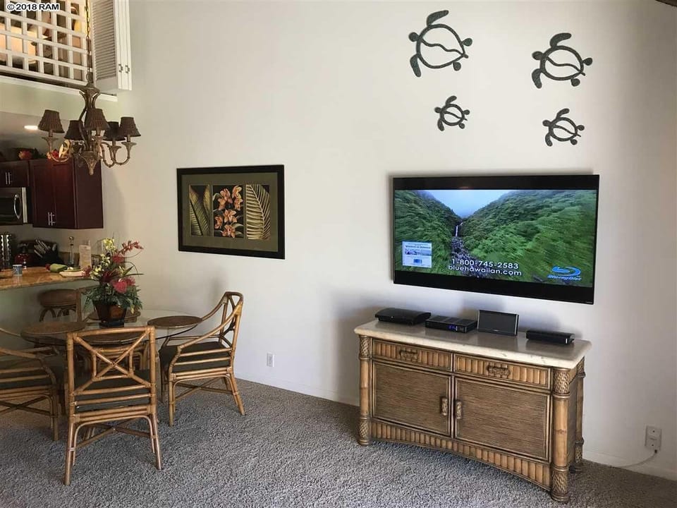 TV in Living Room