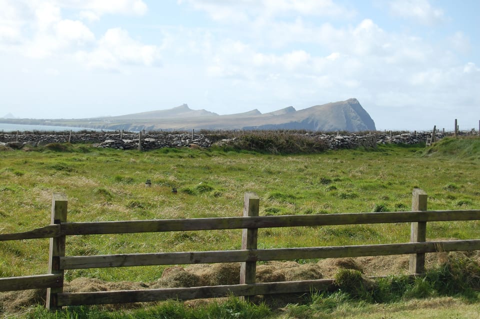 Backyard View of Three Sisters