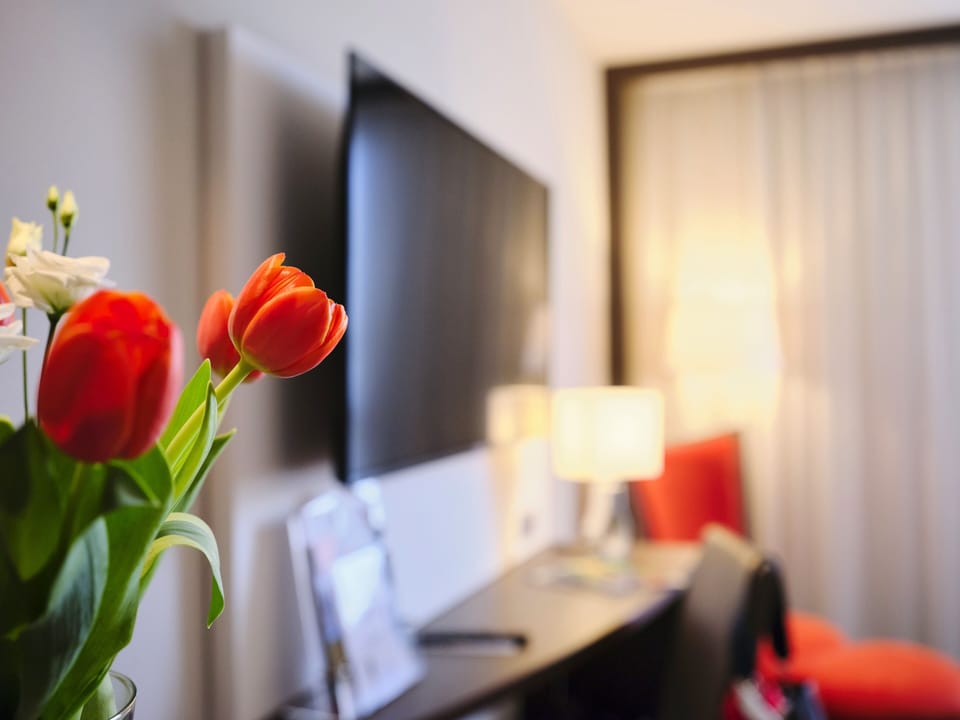 Flat-screen TV
