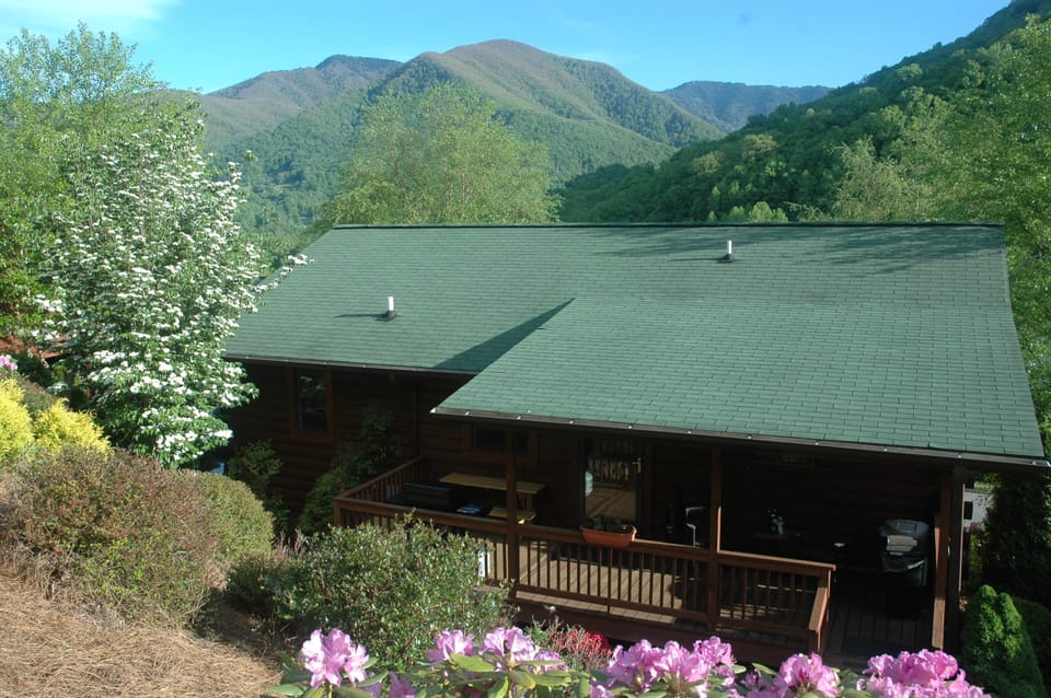 The back of our cozy cabin. This is an ideal place to bar-b-que and/or relax. 