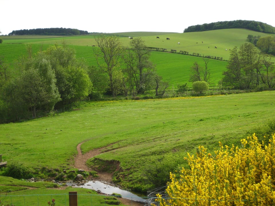 Wander in our fields