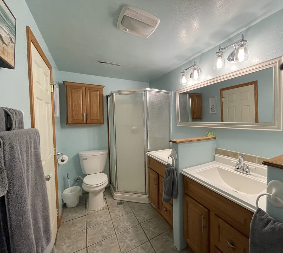 Downstairs bathroom with jetted tub, double sinks, toilet and shower
