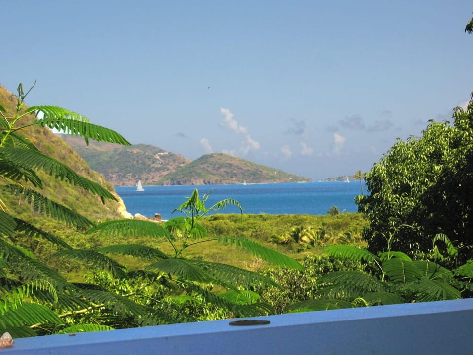 A snapshot of the majestic ocean view from Limeberry House