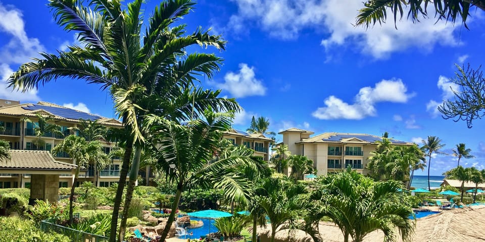 "View, awesome pool, access to beach, walkability."  Jan '22