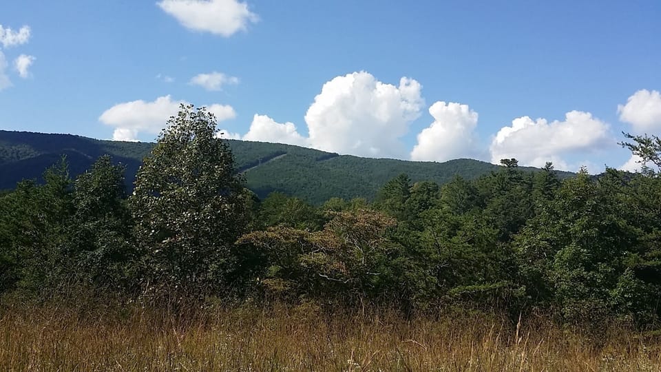 just one of the beautiful places on property to walk or just simply sit
