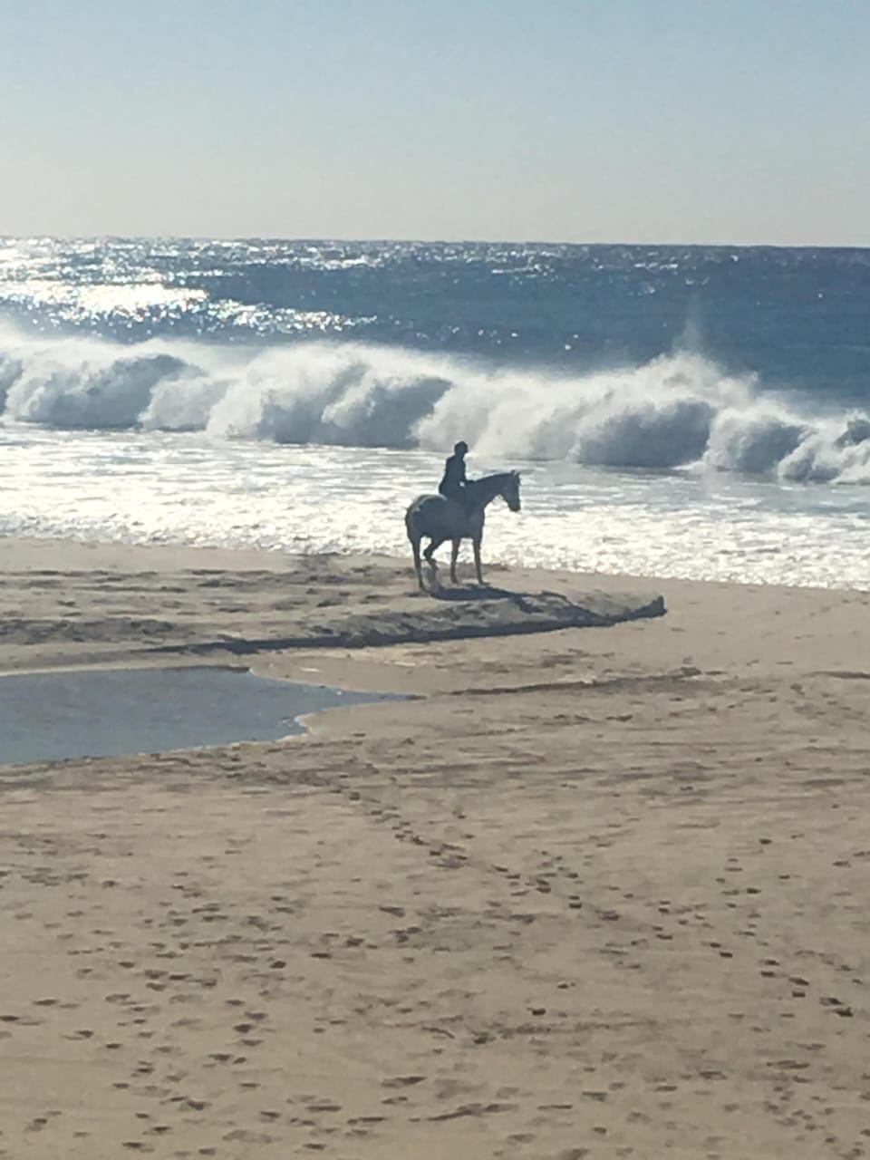 Rider on the beach