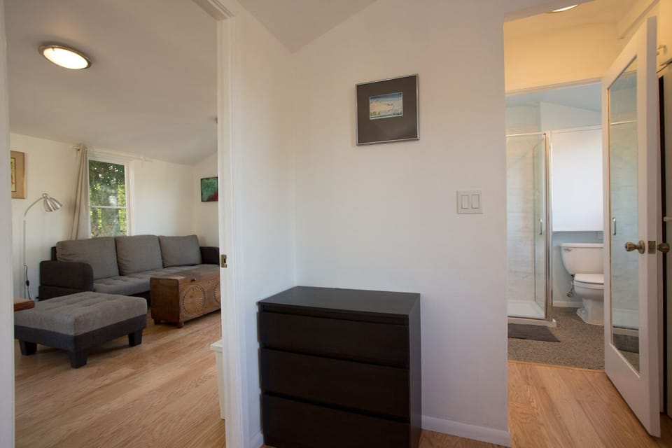 A light-filled apartment.