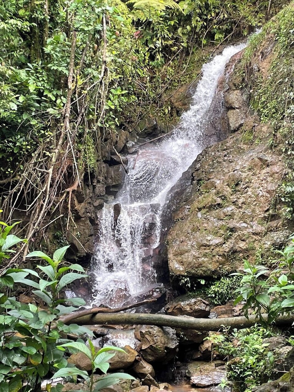 Hiking