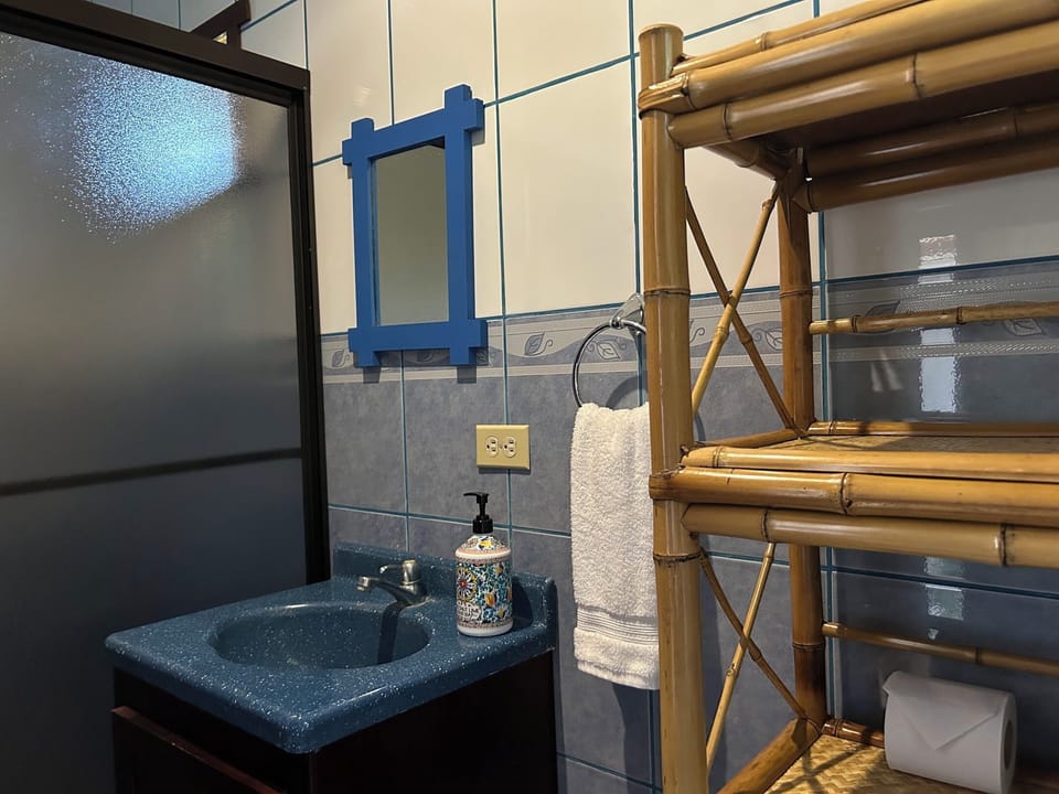 Shower, free toiletries, towels, toilet paper