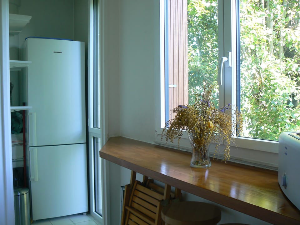 Kitchen with counter and view