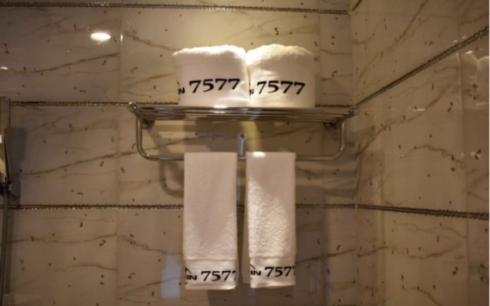 Shower, rainfall showerhead, free toiletries, hair dryer