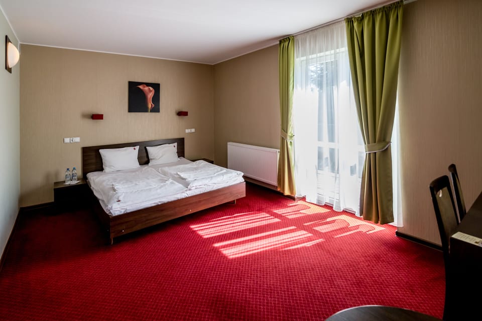 Basic Room | Desk, iron/ironing board, free WiFi, bed sheets