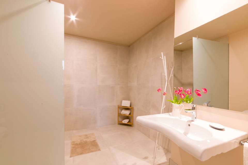 Standard Double or Twin Room | Bathroom | Shower, free toiletries, hair dryer, towels