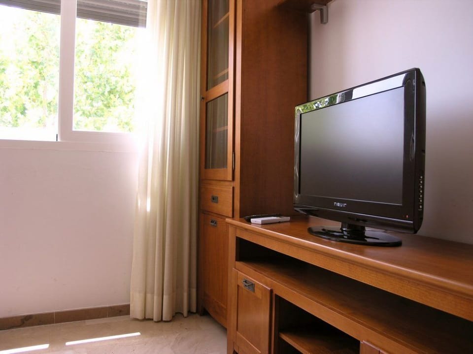 Flat-screen TV