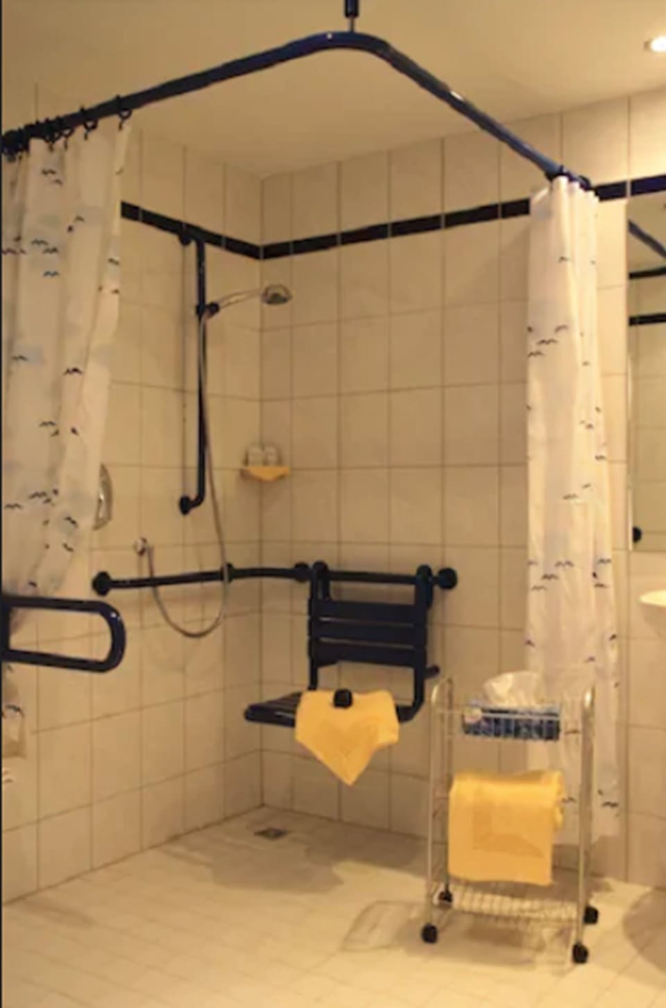 Single Room | Bathroom | Shower, free toiletries, hair dryer, towels