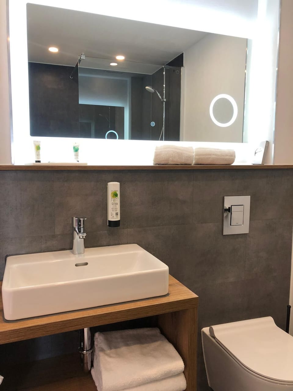 Premium Double Room | Bathroom | Shower, free toiletries, hair dryer, bathrobes