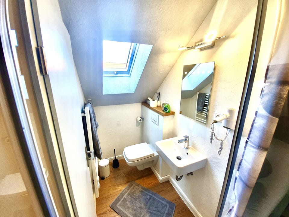 Double Room | Bathroom | Shower, hair dryer, towels
