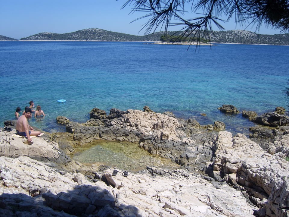 Natural pool