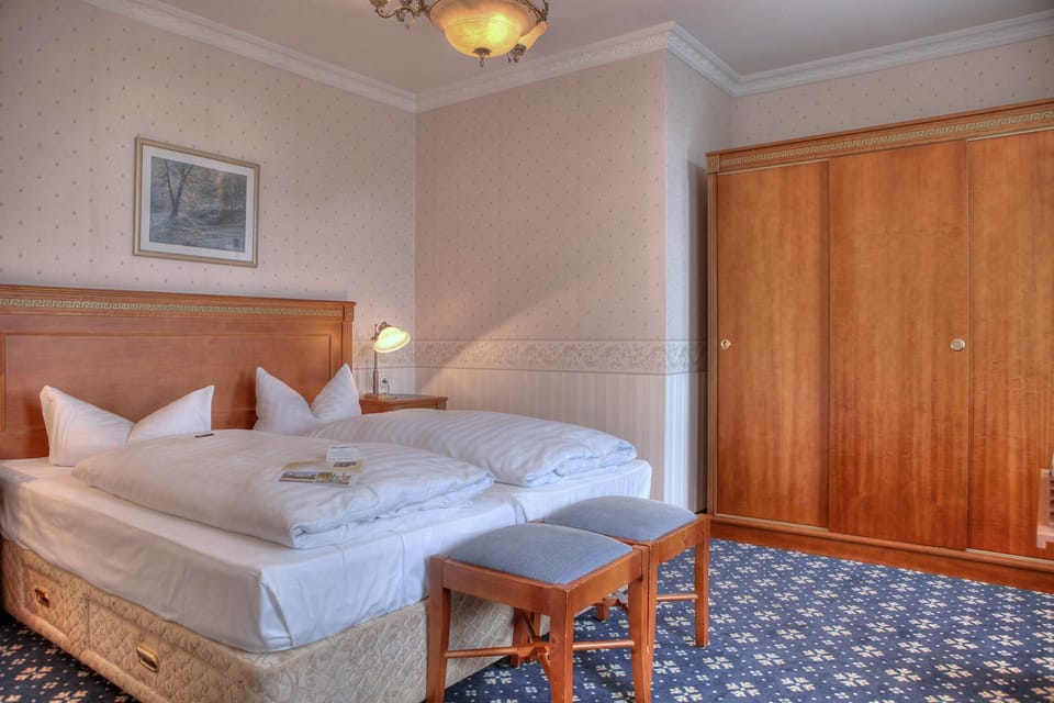 Classic Double Room, Partial Lake View | Desk, WiFi (free)