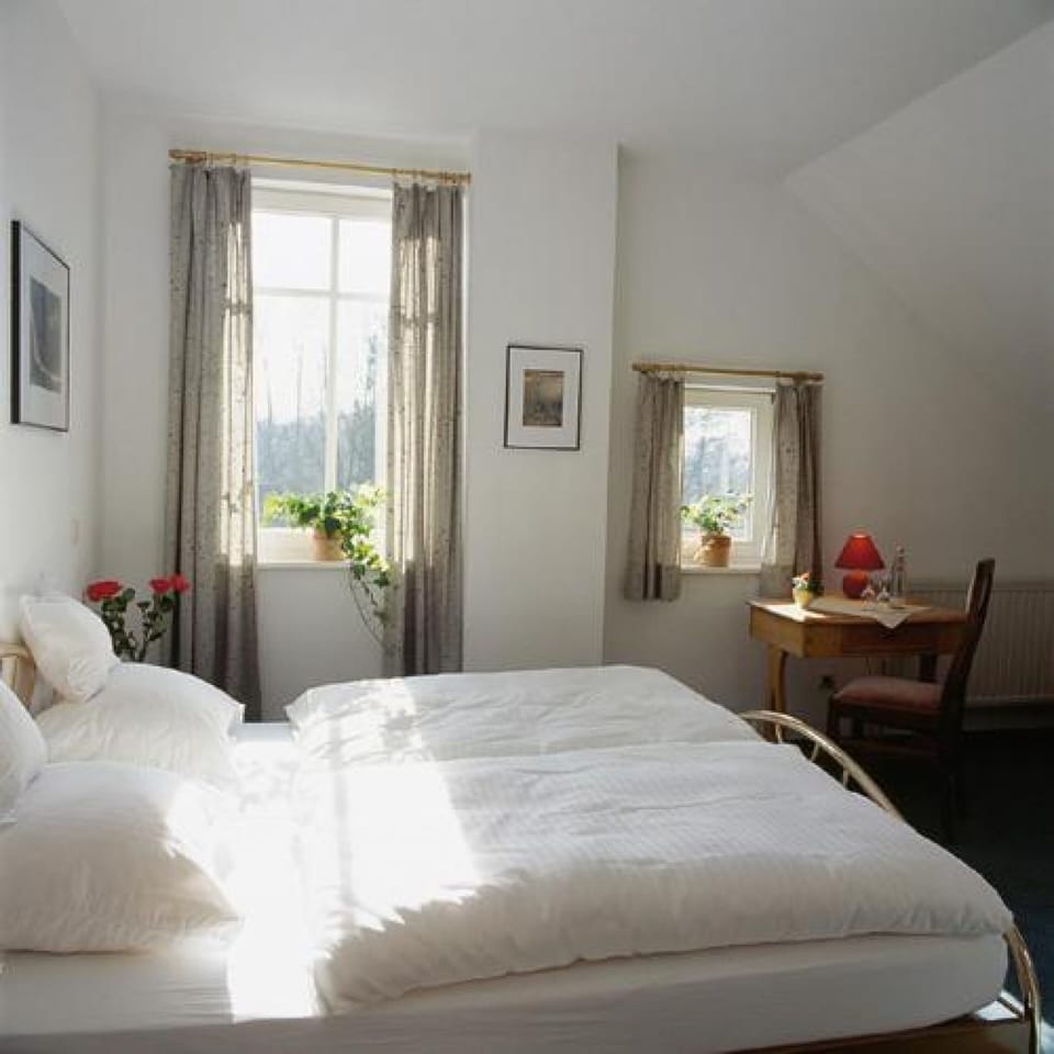 Standard Double Room Single Use | Cribs/infant beds, rollaway beds, free WiFi, bed sheets