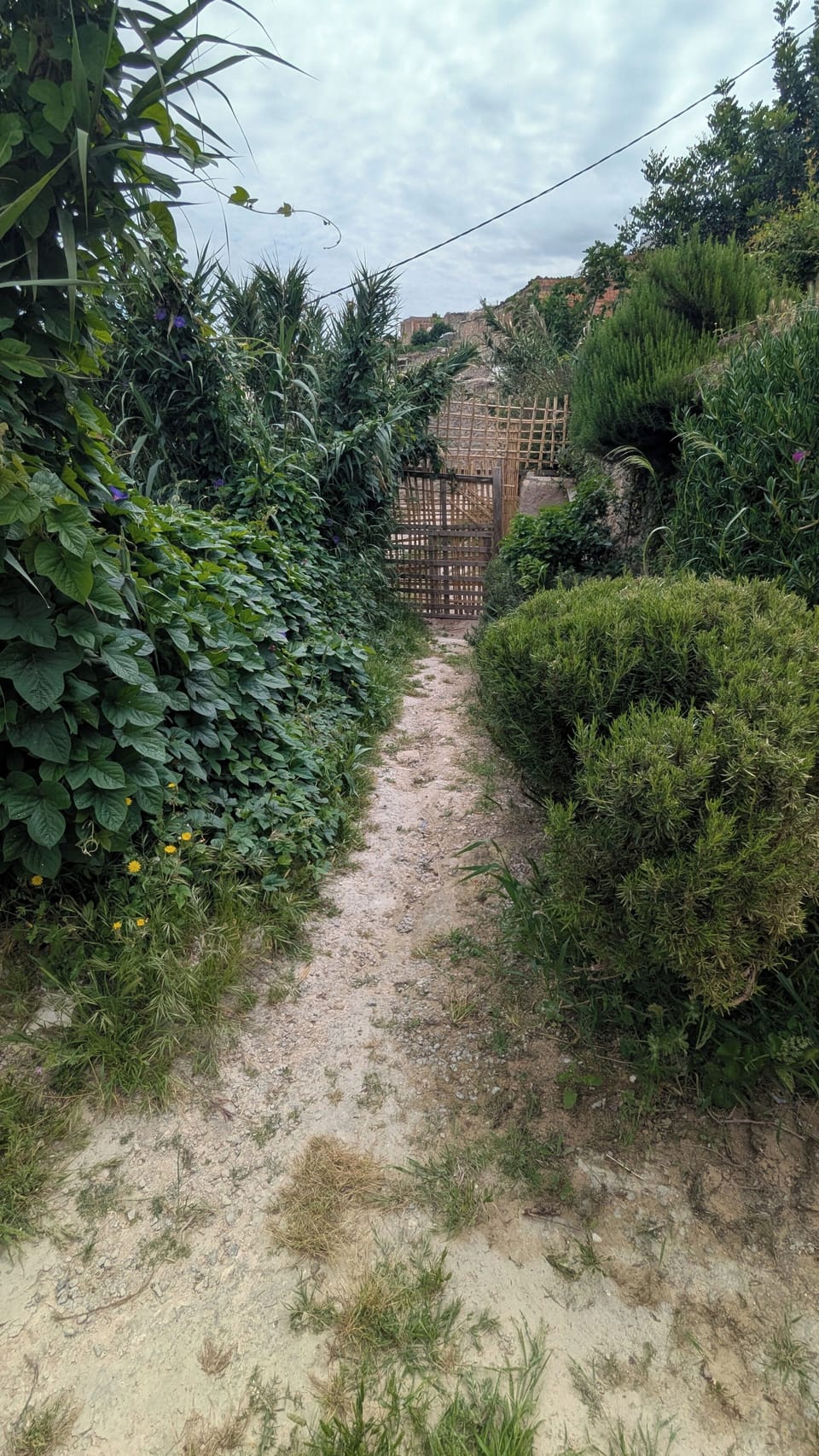 Property grounds