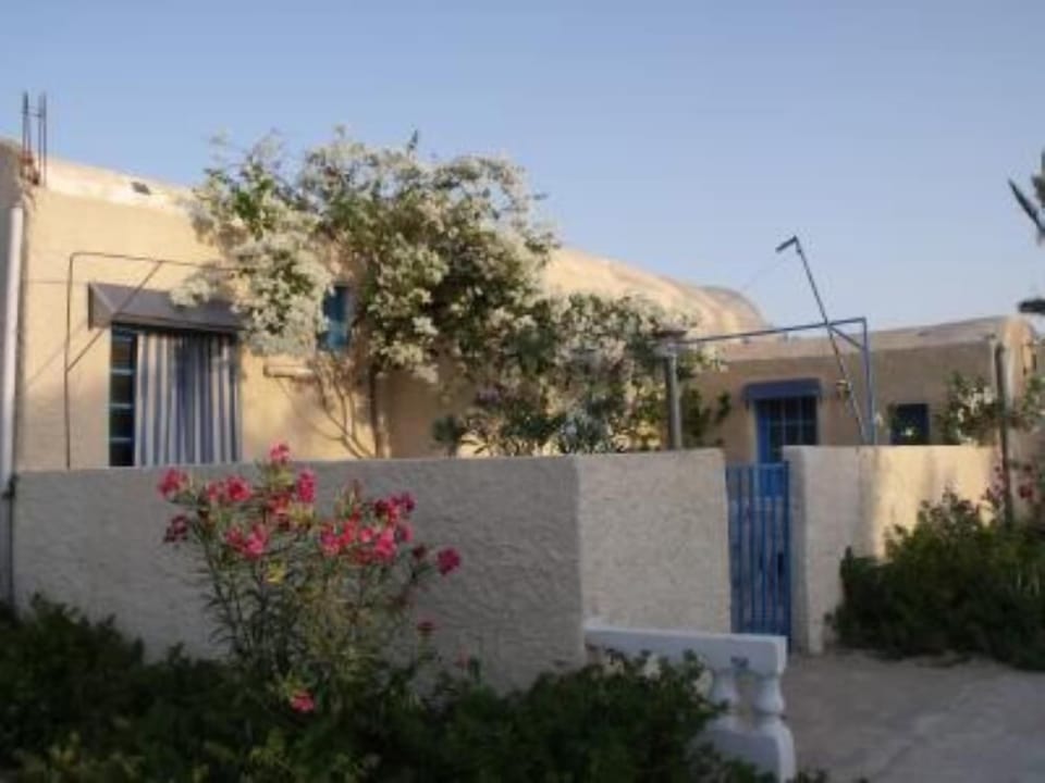Garden, Park