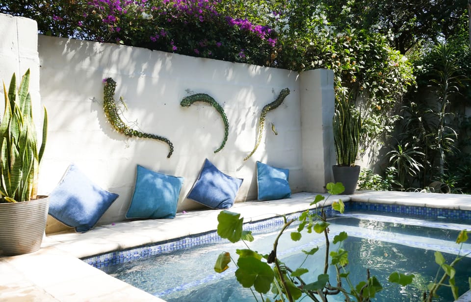 Plunge Pool