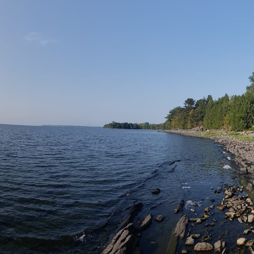 Neighborhood Trail View