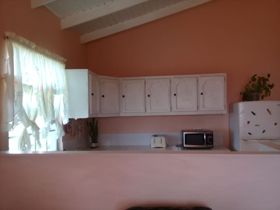 Upper Suite kitchen