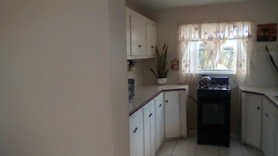 Bottom suite kitchen