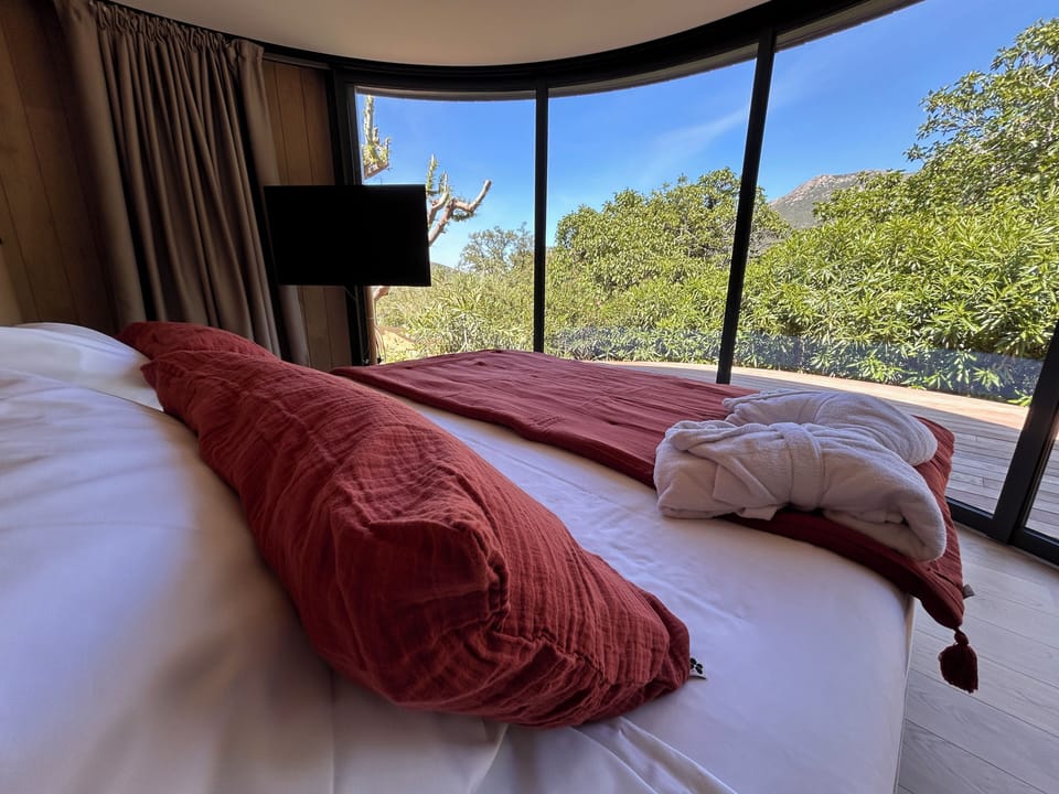 Deluxe Suite | Minibar, in-room safe, blackout drapes, soundproofing