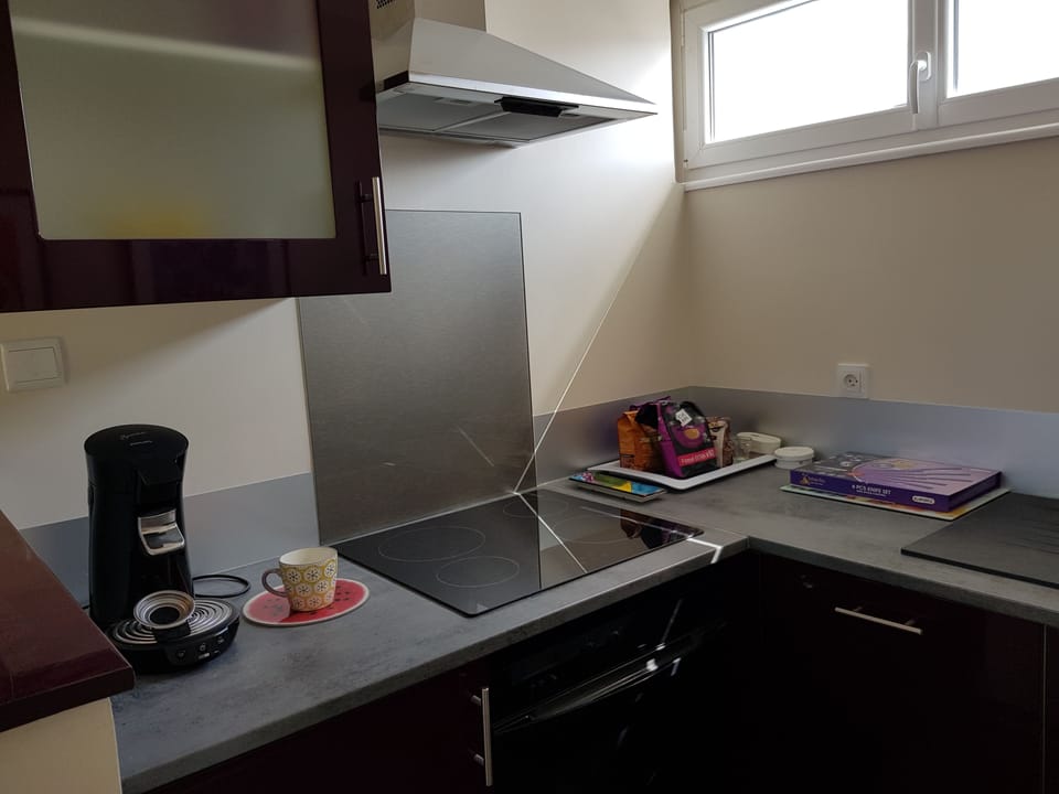 Deluxe Apartment | Private kitchen | Fridge, microwave, stovetop, coffee/tea maker