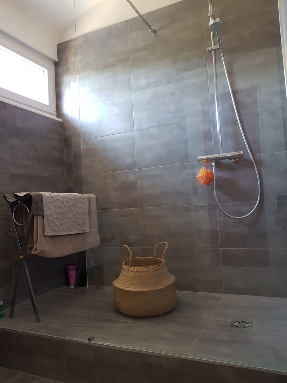Deluxe Apartment | Bathroom shower