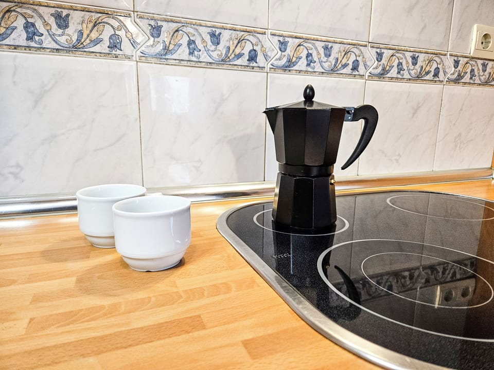 Basic Apartment | Private kitchen | Full-size fridge, microwave, stovetop, espresso maker
