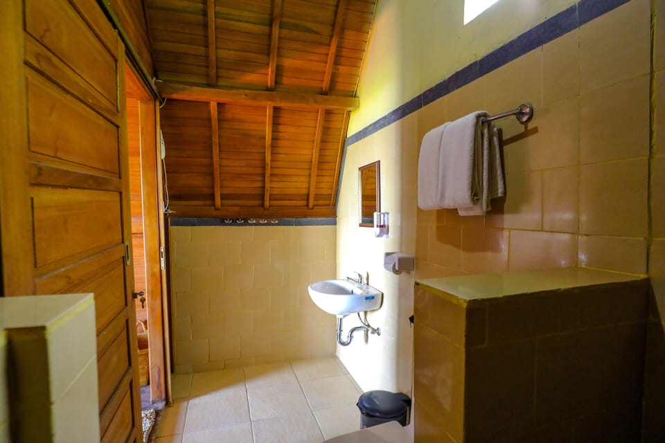 Deluxe Room | Bathroom | Shower, free toiletries, hair dryer, towels