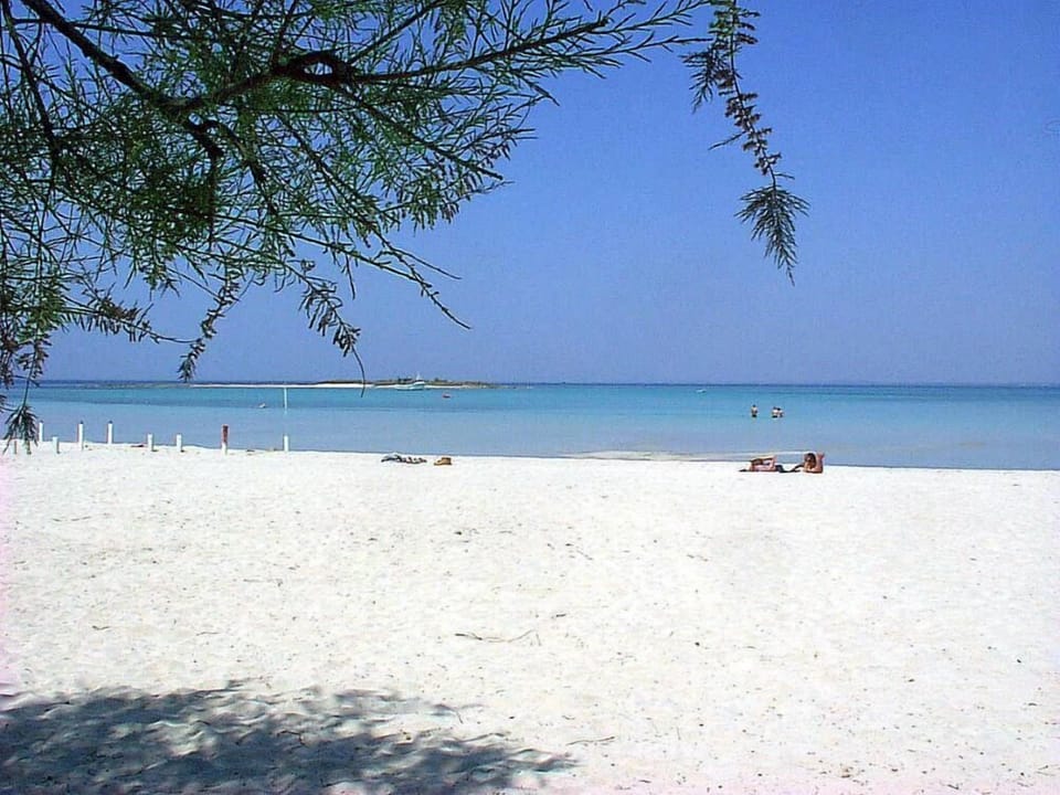 Beach view